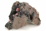 Small, Red Vanadinite Crystals on Manganese Oxide - Morocco #212005-1